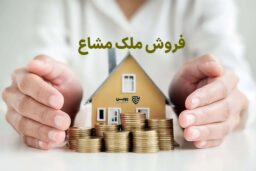 فروش ملک مشاع- گروه حقوقی لاوین