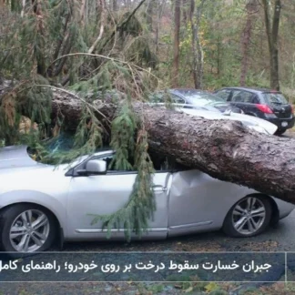 تصویر جبران خسارت سقوط درخت بر روی خودرو- شرکت خدمات حقوقی لاوین