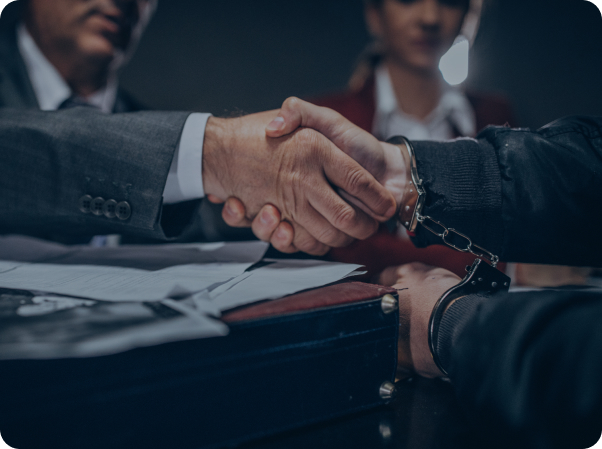 وکیل کیفری لاوین