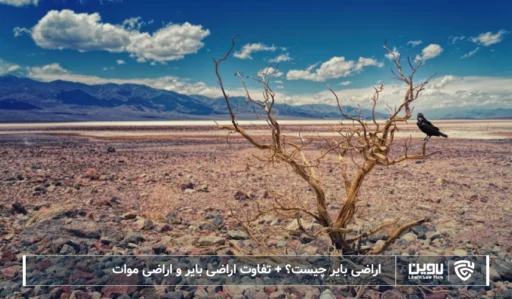 تصویر اراضی بایر- شرکت خدمات حقوقی لاوین